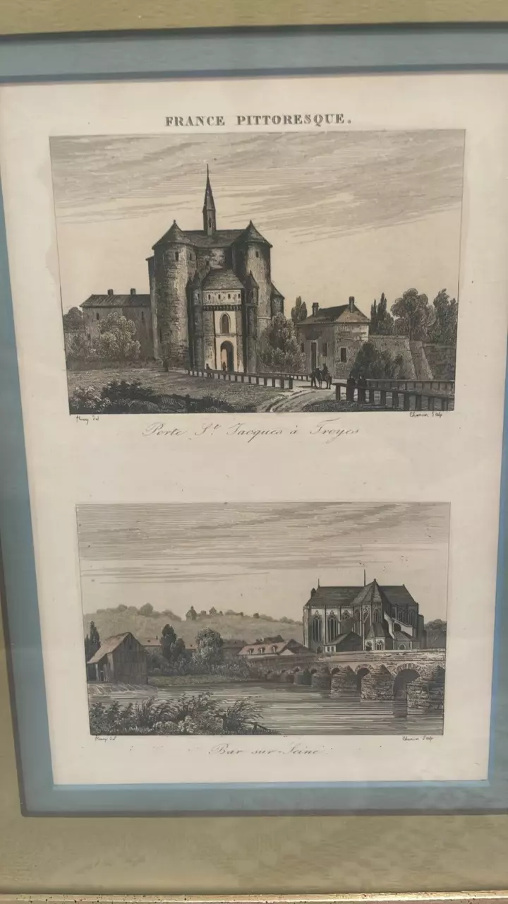 plant/Antique Framed Engraving titled "FRANCE PITTORESQUE"-1