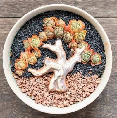 plant/Ceramic Tree Branches, Succulent Decoration, Tree Trunks for Succulents-0-thumbnail