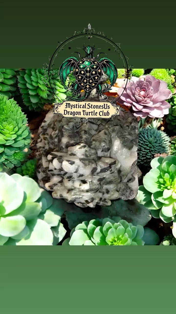 🚨🚨recovery crystal party 🐉🐢🔥🔥🔥
