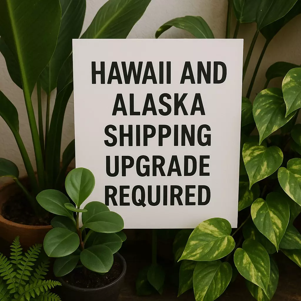 plant/Hawaii and Alaska Shipping upgrade REQUIRED to ship to AK and HI USPS ONLY-0