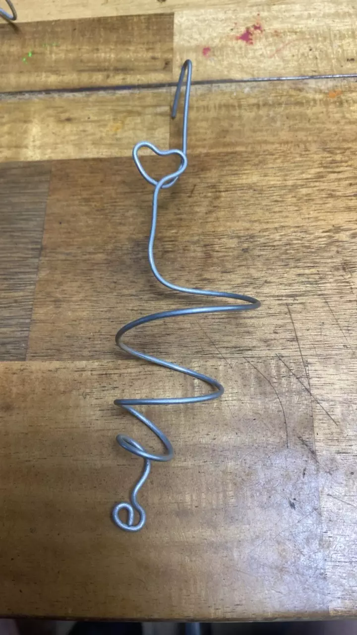 plant/Wire hanger for Airplants-1