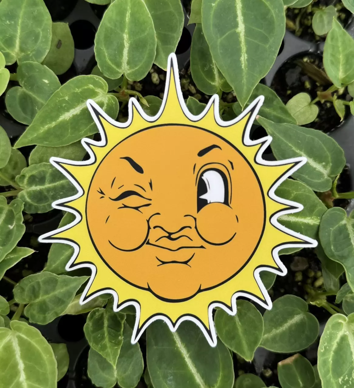 free_shipping/Nice Plants Good Pots Sun Face 4”x4” weatherproof  vinyl sticker (add-on only)-0