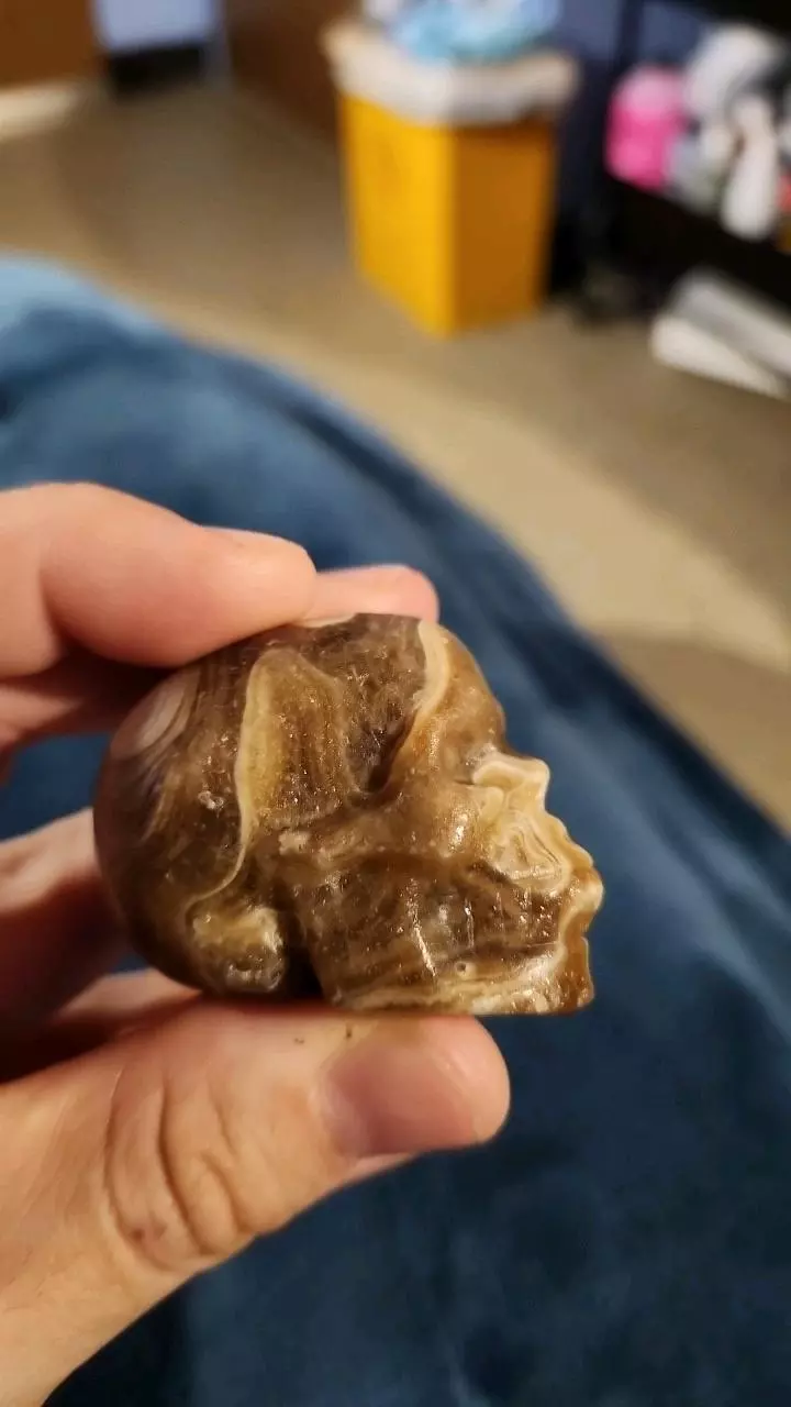 plant/Amber calcite skull was unique circles-1