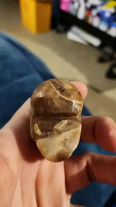 plant/Amber calcite skull was unique circles-4-thumbnail