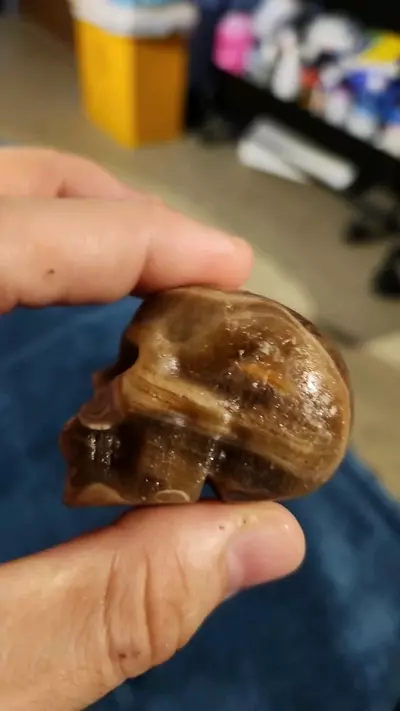 plant/Amber calcite skull was unique circles-3-thumbnail