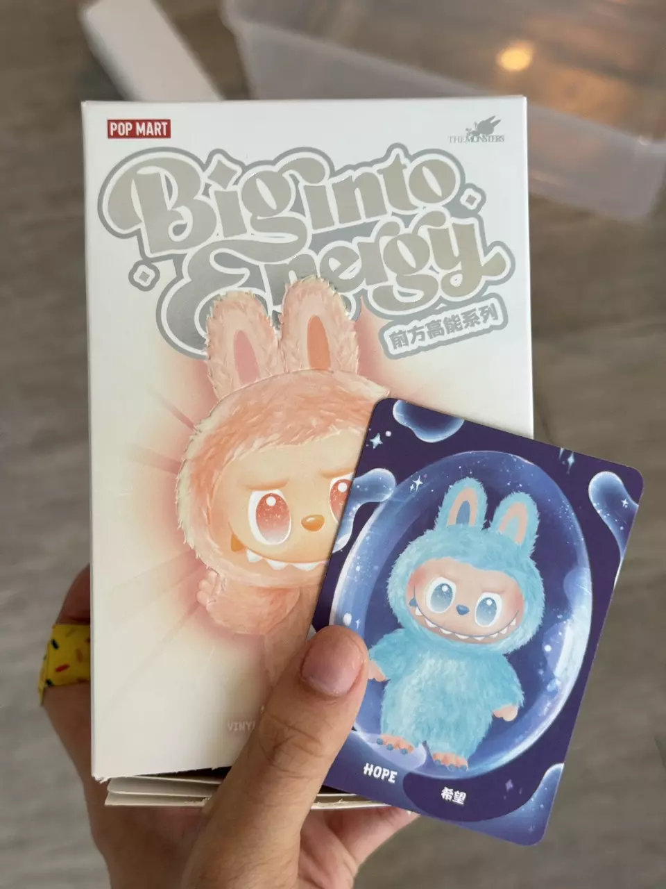 plant/Confirmed V3 Hope LABUBU ( Sealed Bag)-0