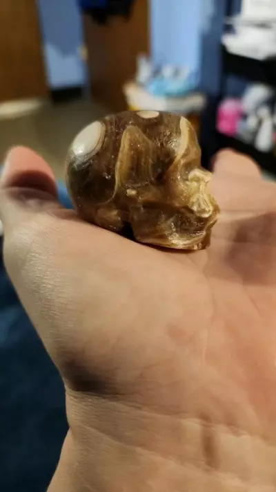 plant/Amber calcite skull was unique circles-5-thumbnail
