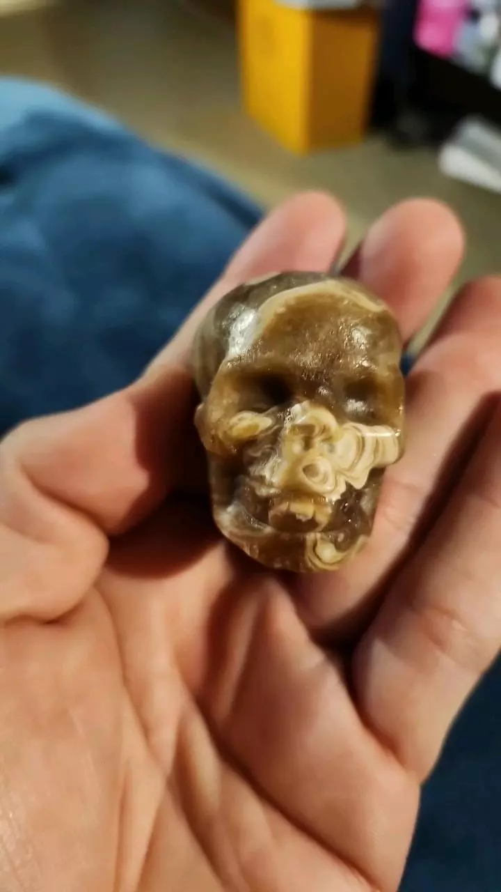 plant/Amber calcite skull was unique circles-0