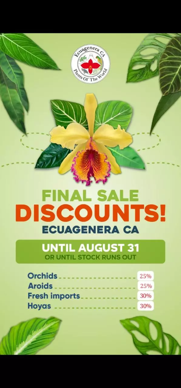 Special Live 🤩🤗 Fresh Imports 30% off🥳🥳