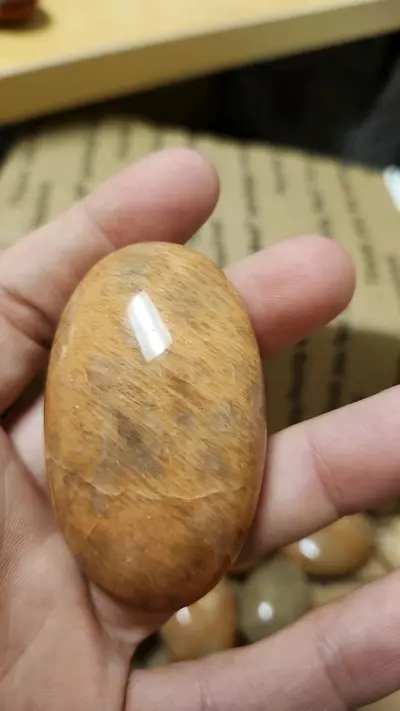 plant/Moonstone palmstones-0-thumbnail