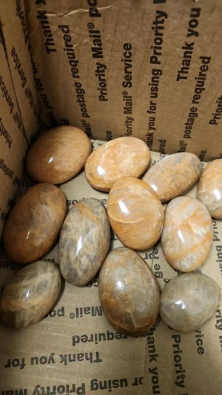 plant/Moonstone palmstones-1