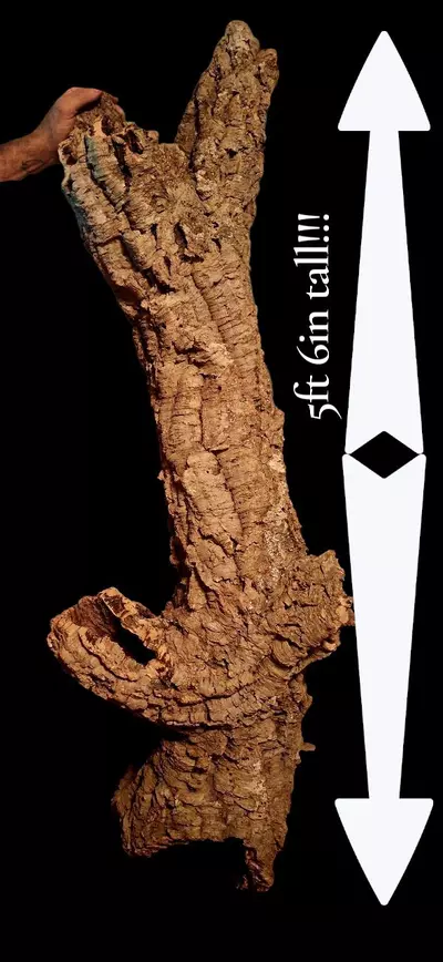 free_shipping/Cork Bark-0-thumbnail