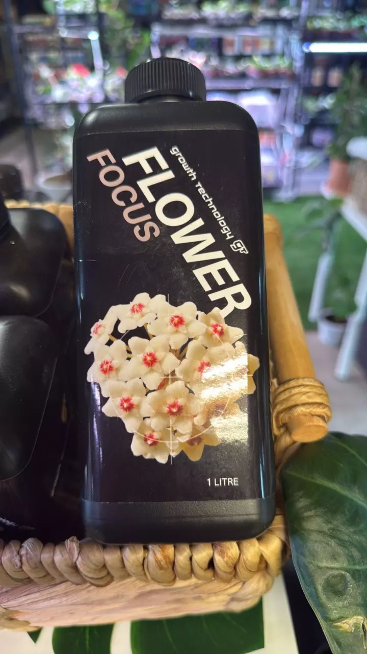 heat_pack/Flower Focus-0