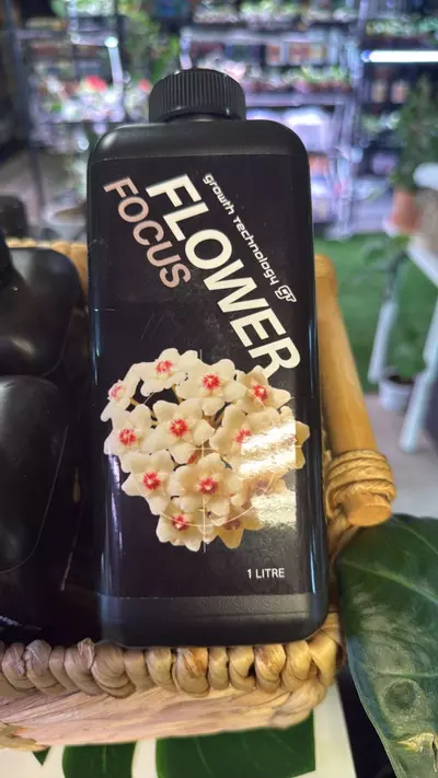 heat_pack/Flower Focus-0-thumbnail