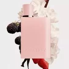 plant/$180 MSRP 3.3oz BURBERRY Her Elixir de Parfum SEALED IN BOX-3