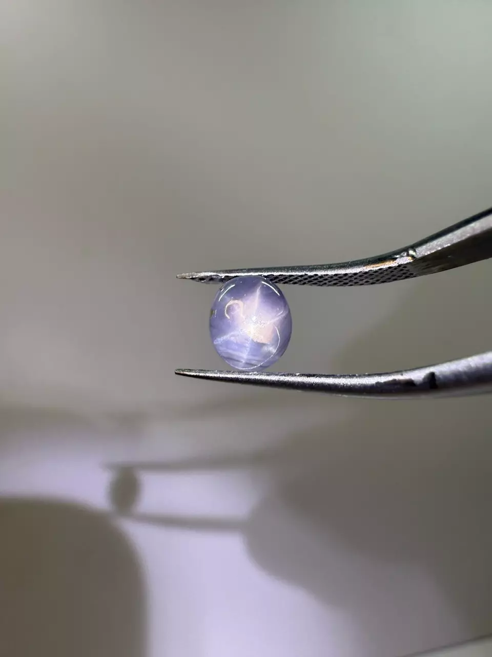 plant/Purple 6 Leg Star Sapphire from Sri Lanka 1.74 ct-0