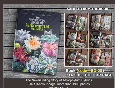 plant/“The Never ending Story of Astrophytum Hybrids”-0-thumbnail