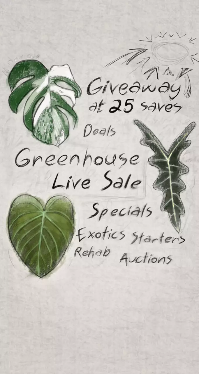 Giveaways, Variety Sale, and Plant Tips!