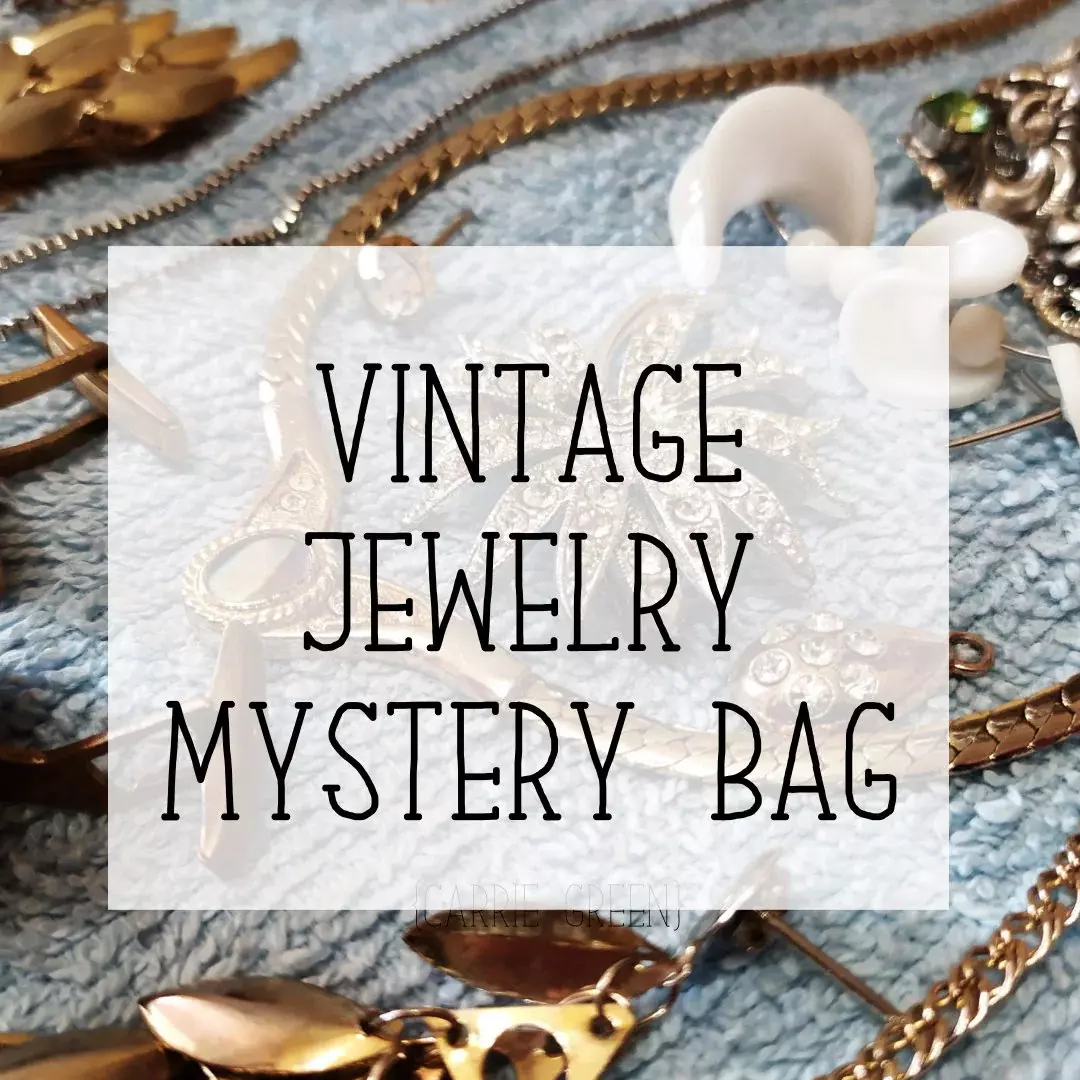 plant/Mystery vintage jewelry bag-0