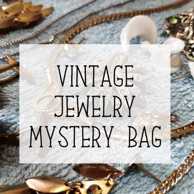 plant/Mystery vintage jewelry bag-0-thumbnail