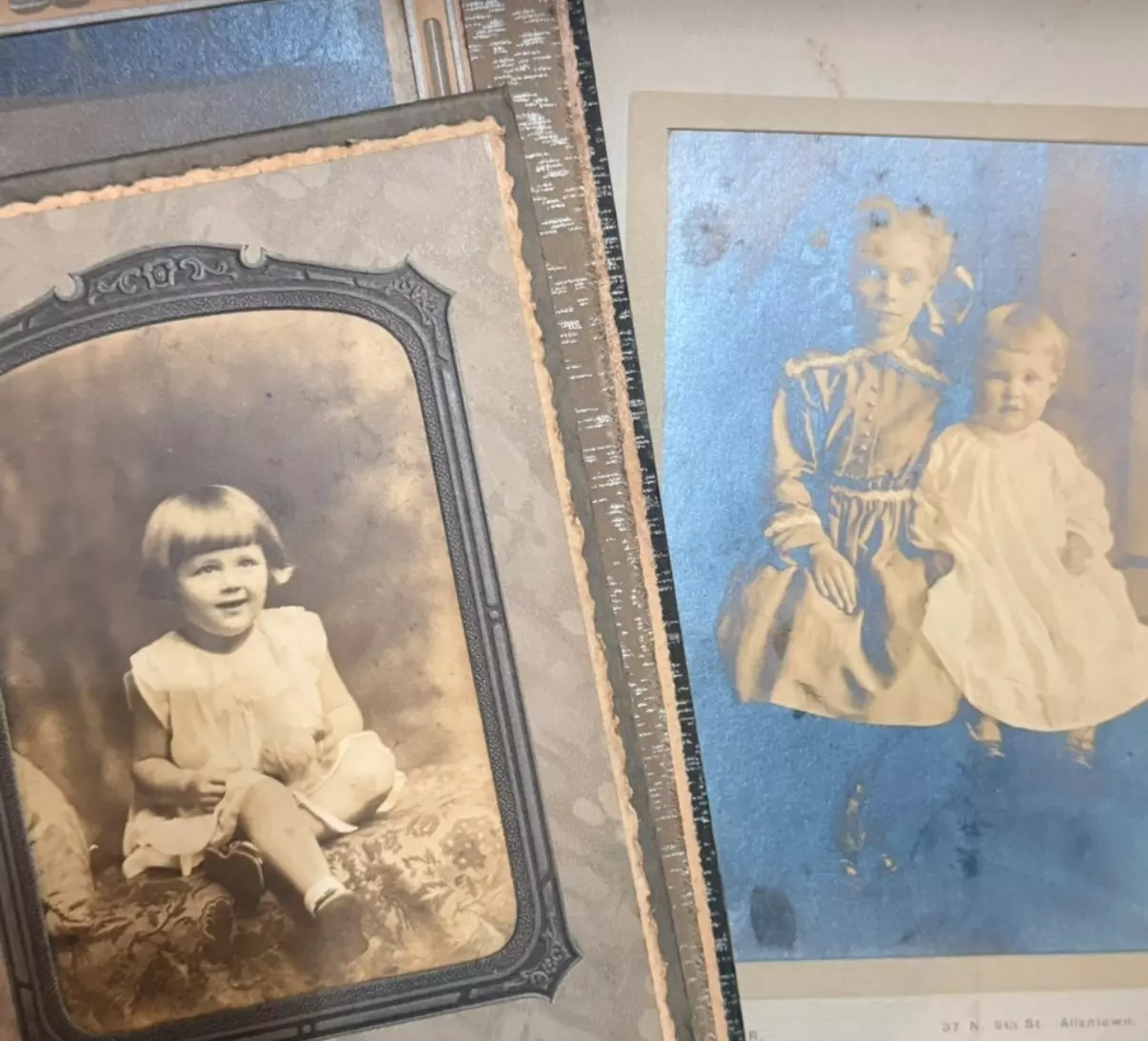 plant/Random cabinet card !-0