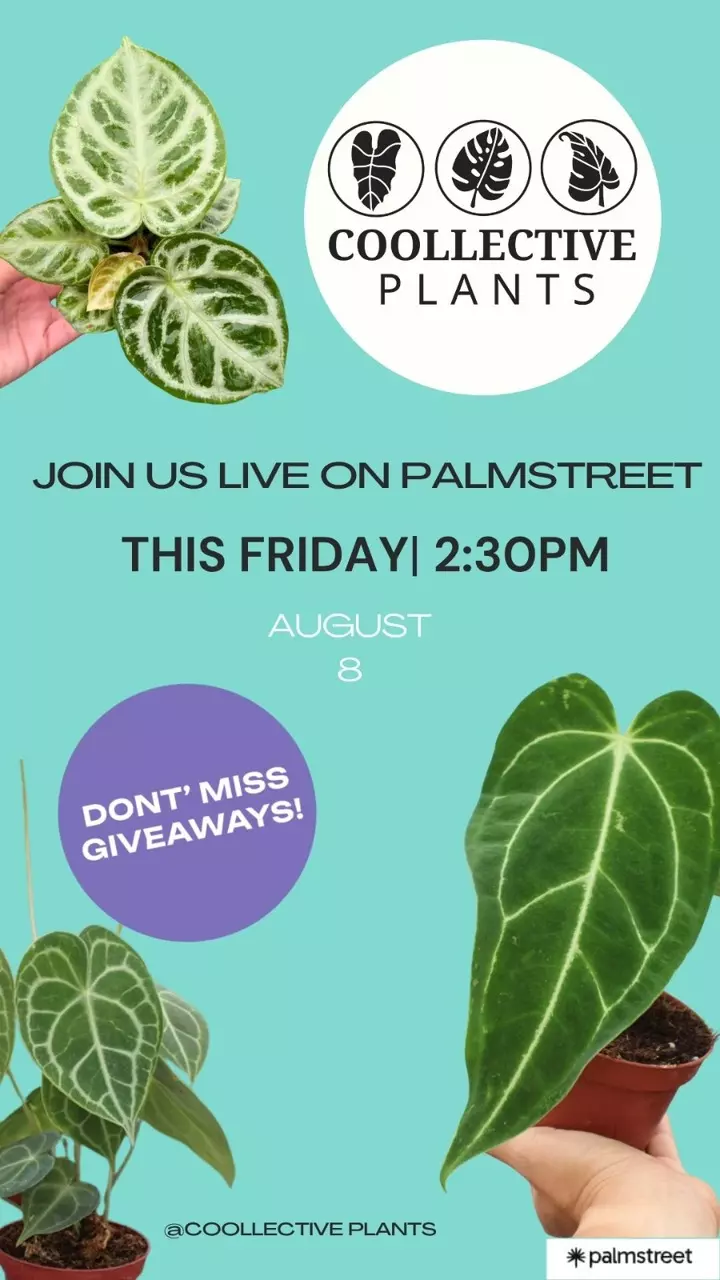 Join us live this Friday
