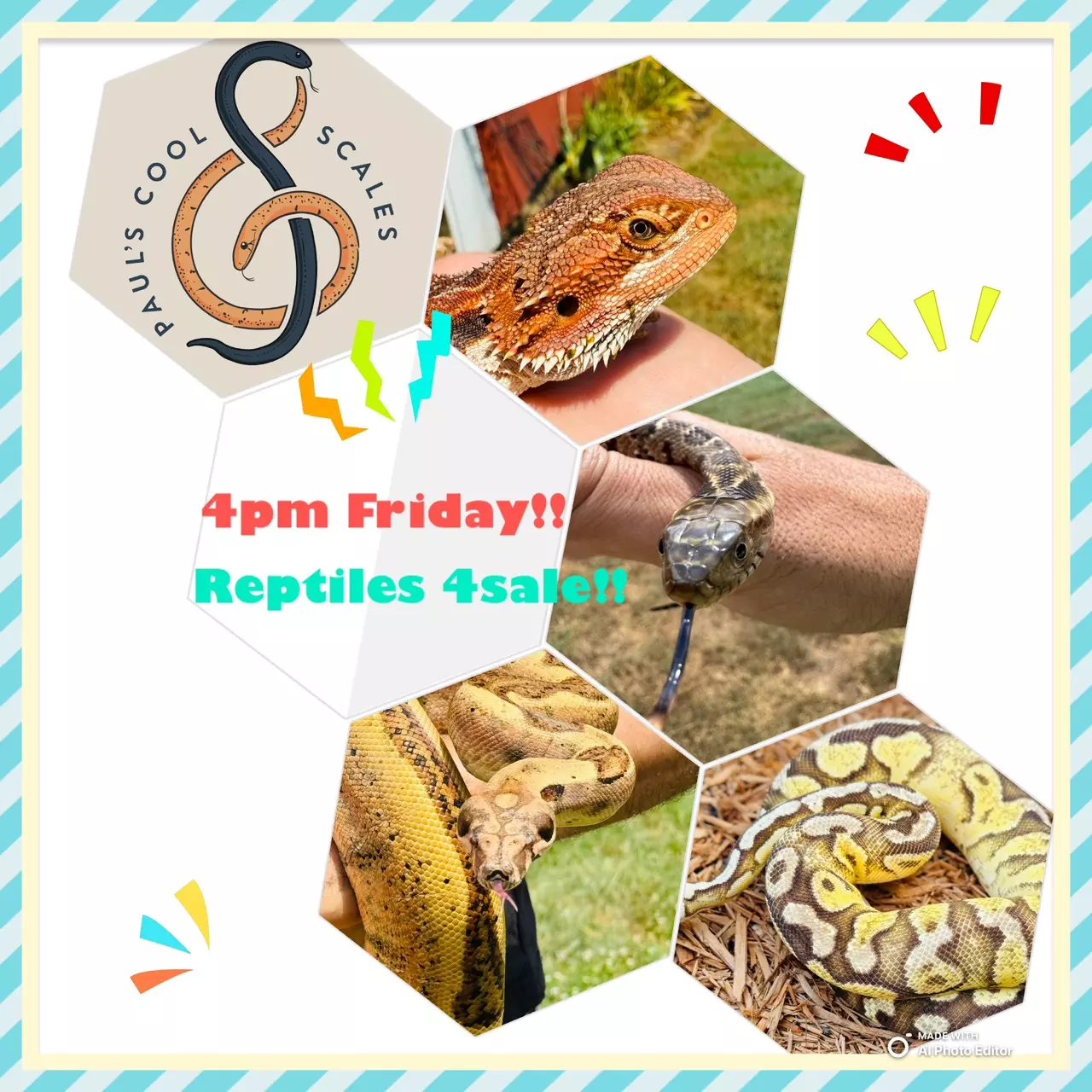 Coolest Reptiles on Palm Street !!!