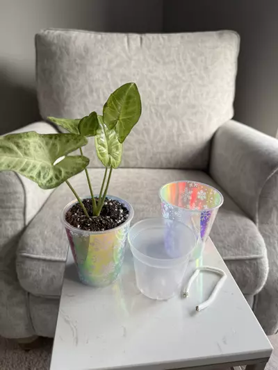 plant/Snowflake Iridescent Self Watering.-0-thumbnail