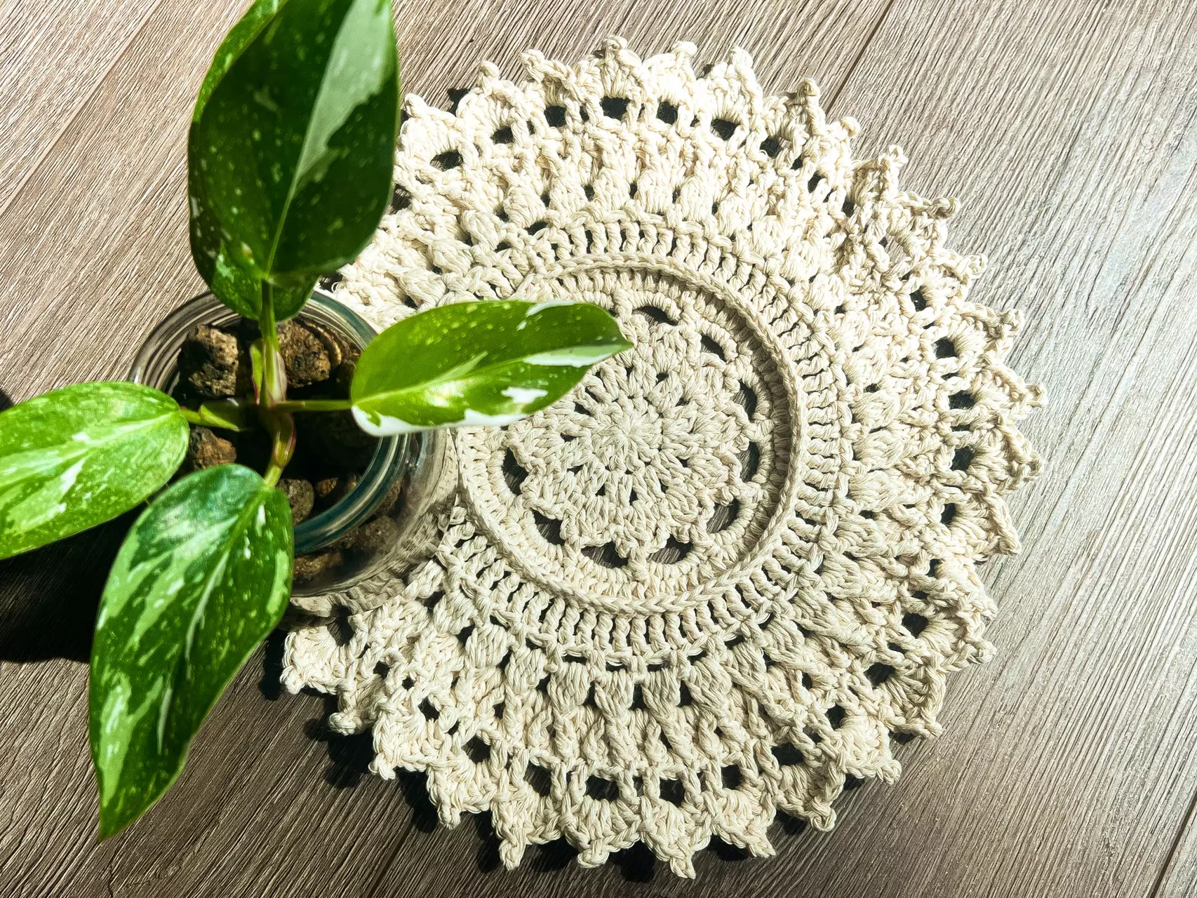 plant/Surface Saver - 100% Recycled Materials-0