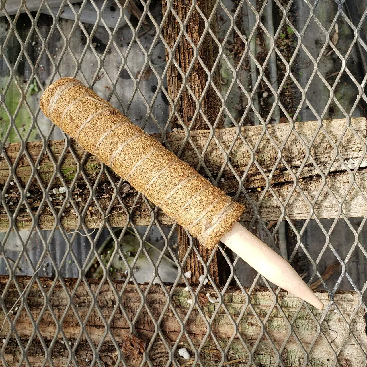 plant/Coconut Coir grow poles-0