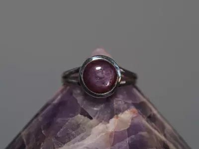 plant/Sterling Silver Ruby Ring Size 9-0-thumbnail