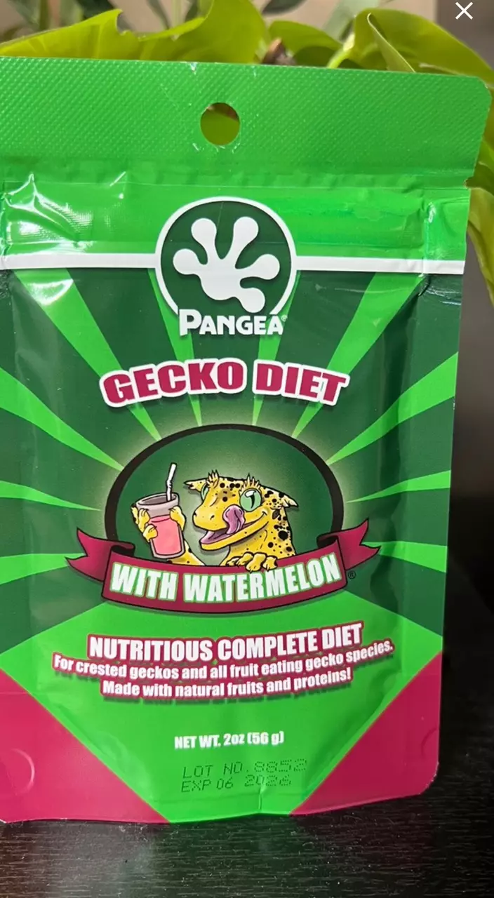 plant/8oz Pangea Watermelon -0