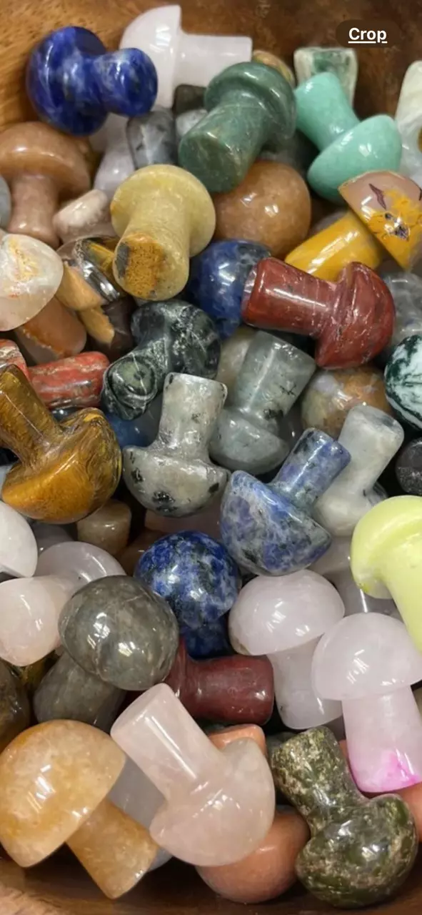 plant/MINI MUSHROOMS 🍄 🍄‍🟫 5 PCS-0