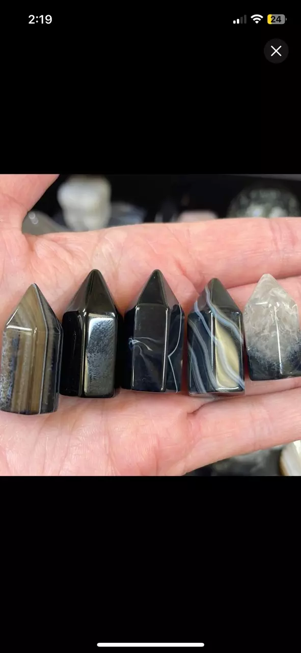 plant/MYSTERY BLACK CARNELIAN & BLACK AGATE TOWER -1