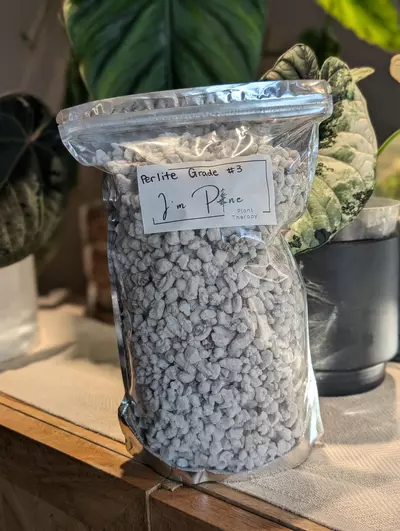 plant/Perlite; Large, Grade 3-0-thumbnail