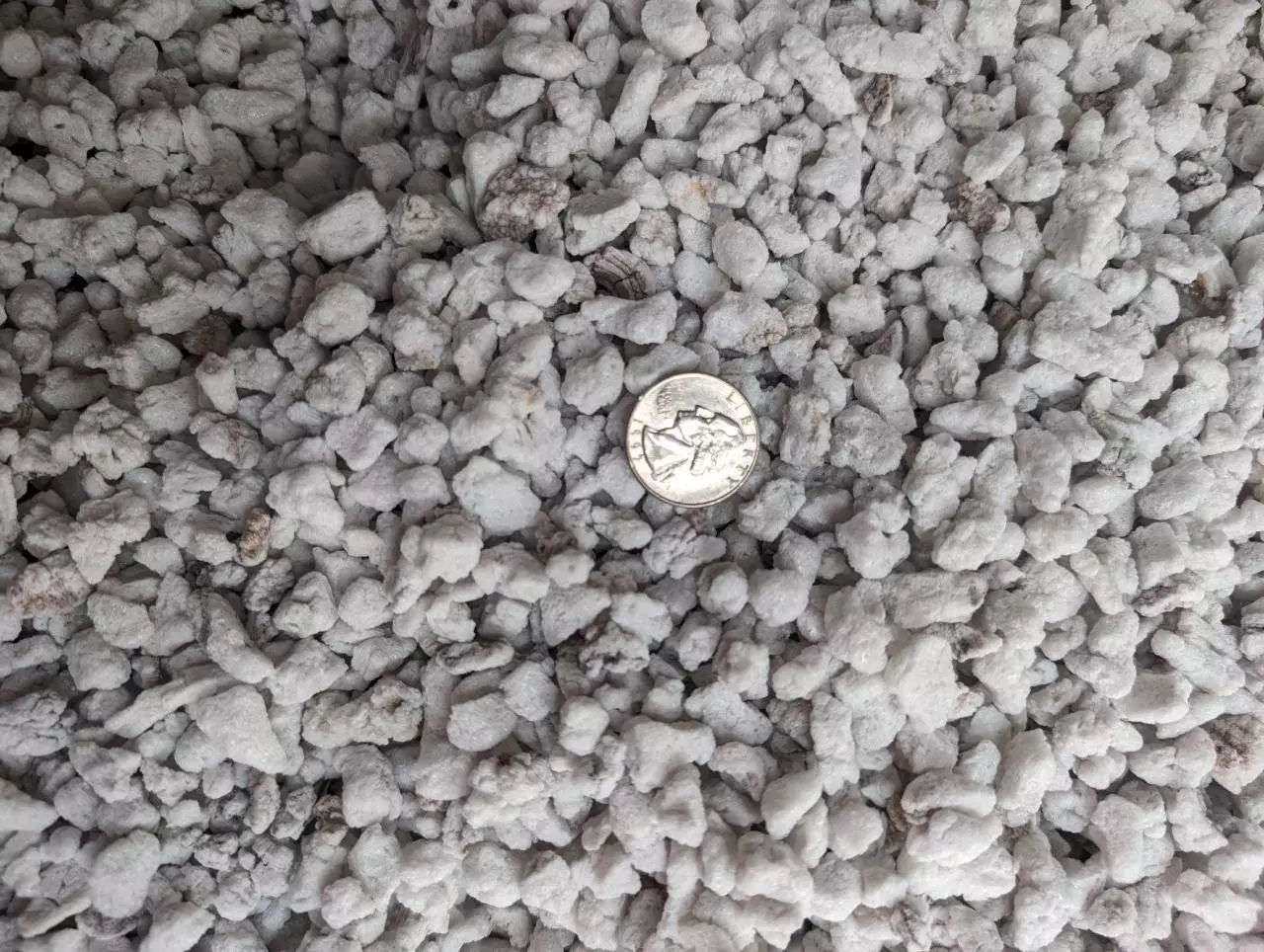 plant/Perlite; Large, Grade 3-1