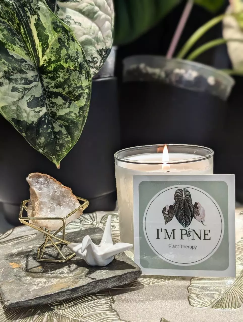 plant/I'm Pine Plant Therapy Sticker-0