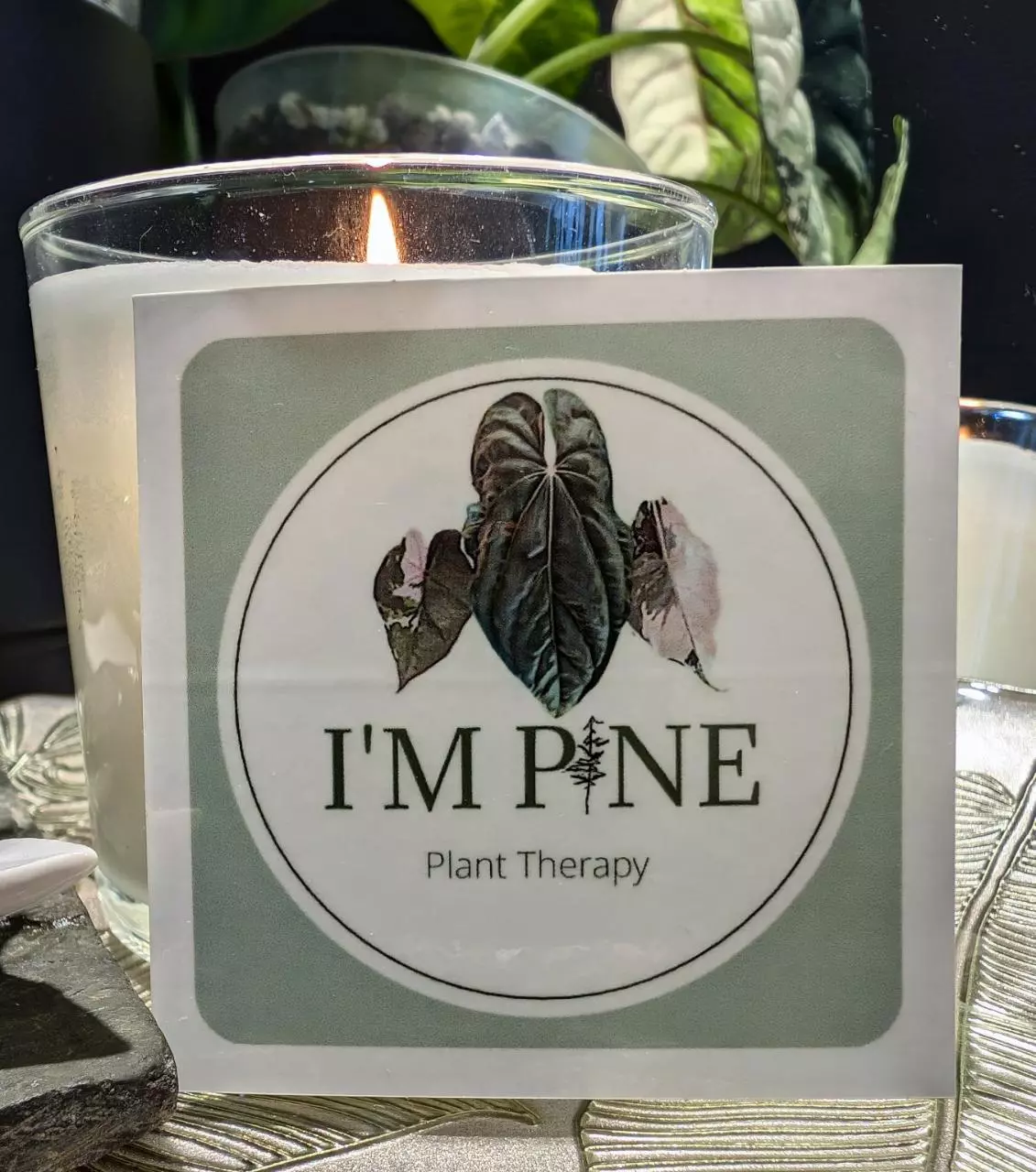 plant/I'm Pine Plant Therapy Sticker-1