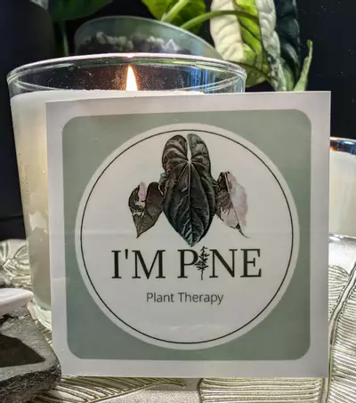 plant/I'm Pine Plant Therapy Sticker-1-thumbnail