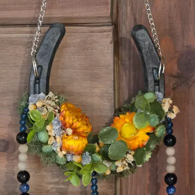 plant/Horseshoe Suncatcher-1-thumbnail