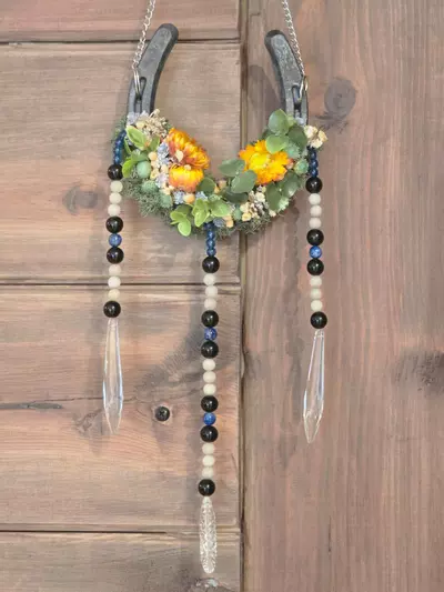 plant/Horseshoe Suncatcher-0-thumbnail