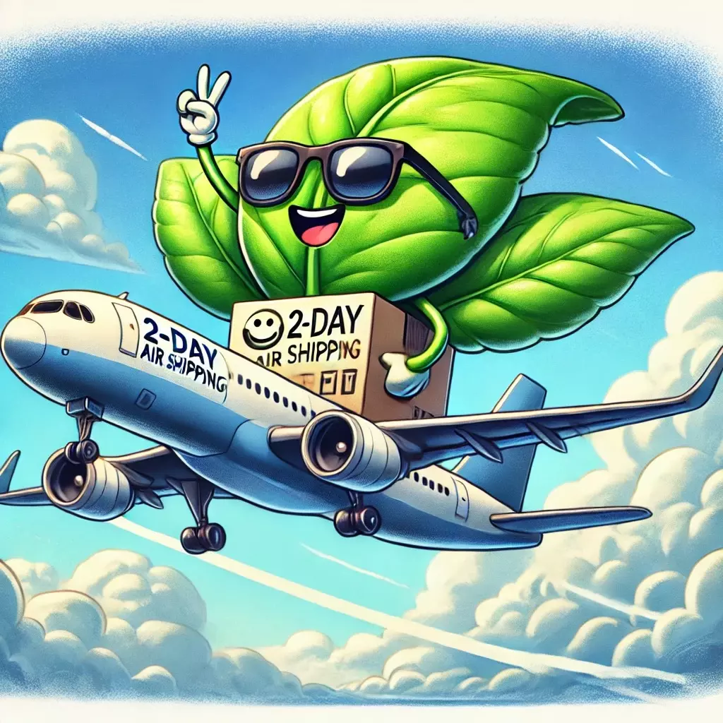 heat_pack/2 Day Air-0