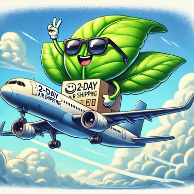 heat_pack/2 Day Air-0-thumbnail