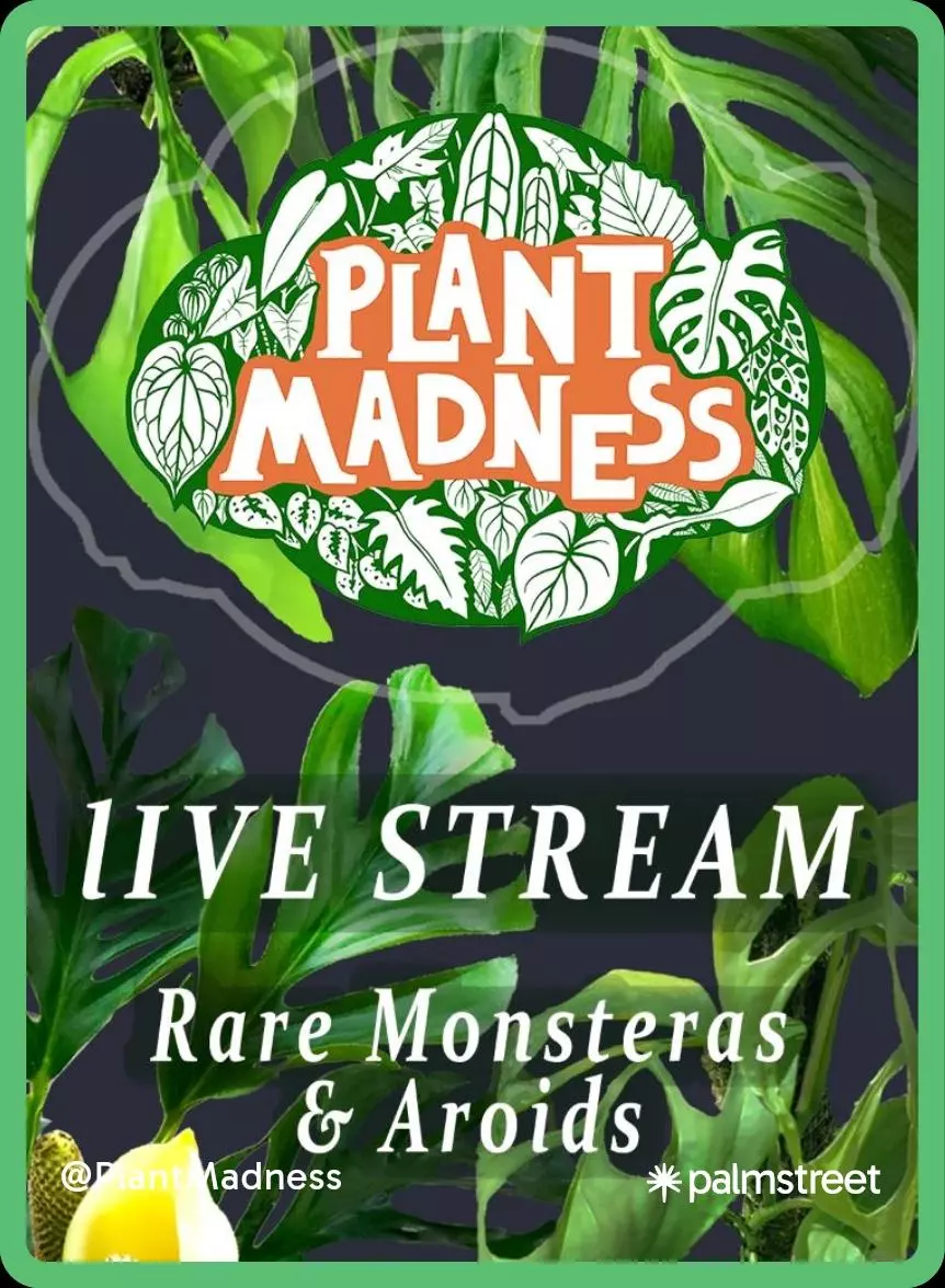 shipping_upgrade/Ups 3 day select-0