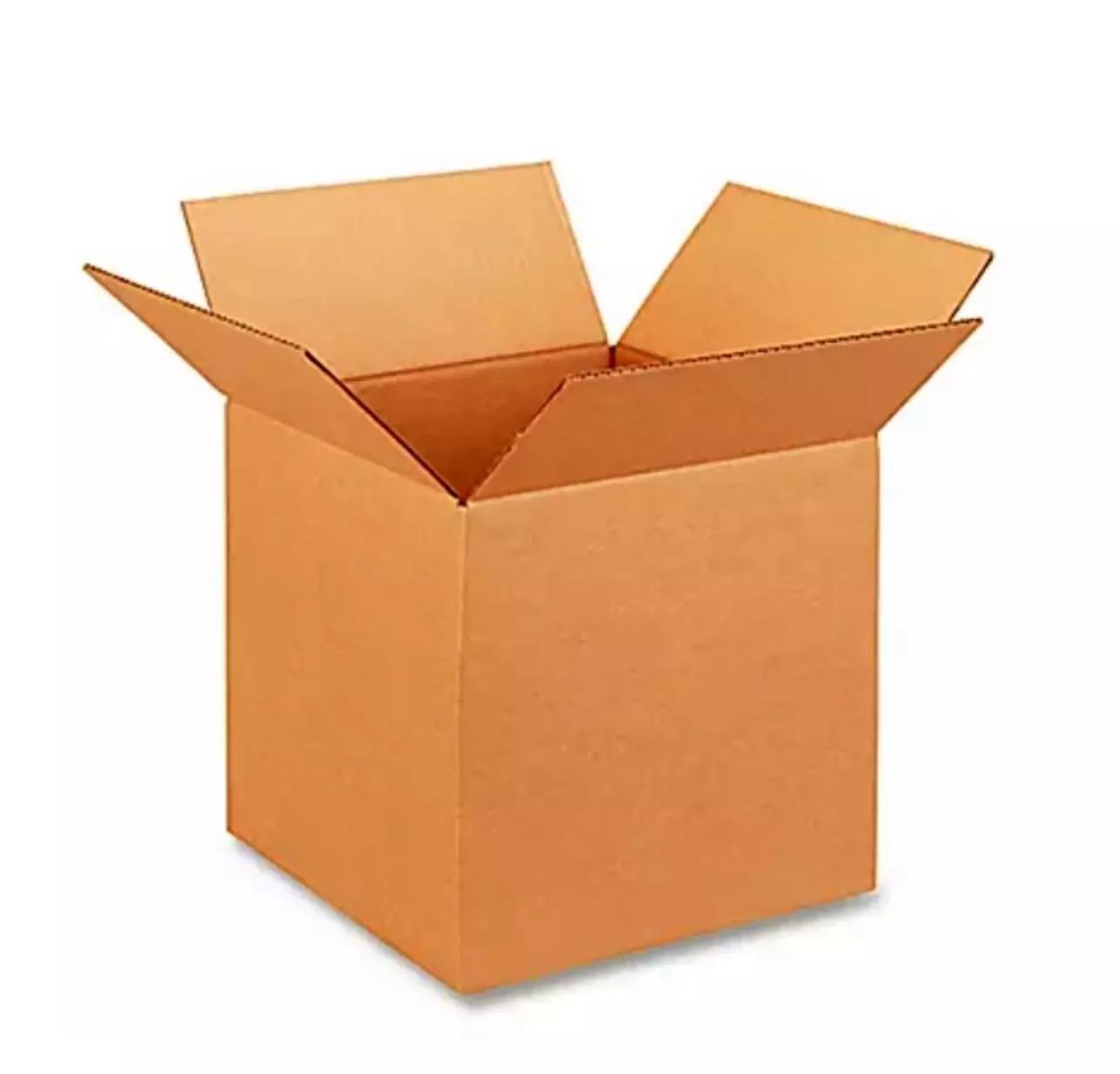 plant/Extra Shipping-0