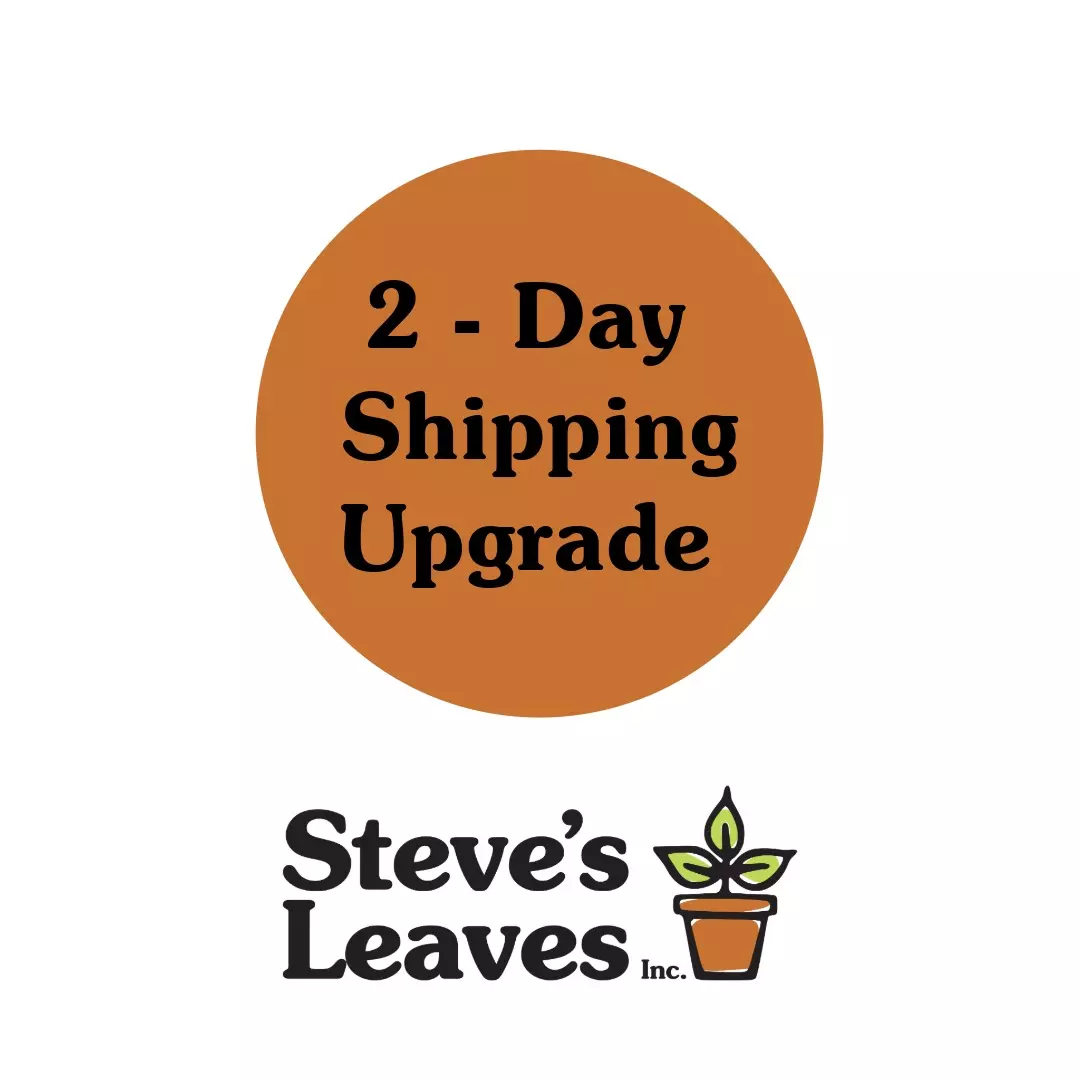 shipping_upgrade/FedEx - 2 Day Shipping upgrade-0