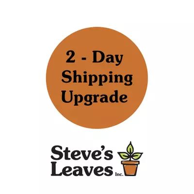 shipping_upgrade/FedEx - 2 Day Shipping upgrade-0-thumbnail