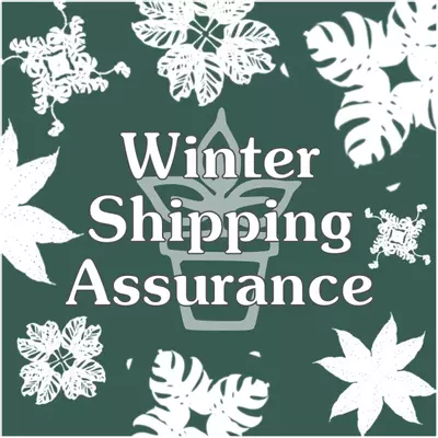 free_shipping/Winter Shipping Assurance-0-thumbnail