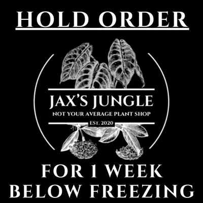 plant/HOLD ORDER-0-thumbnail