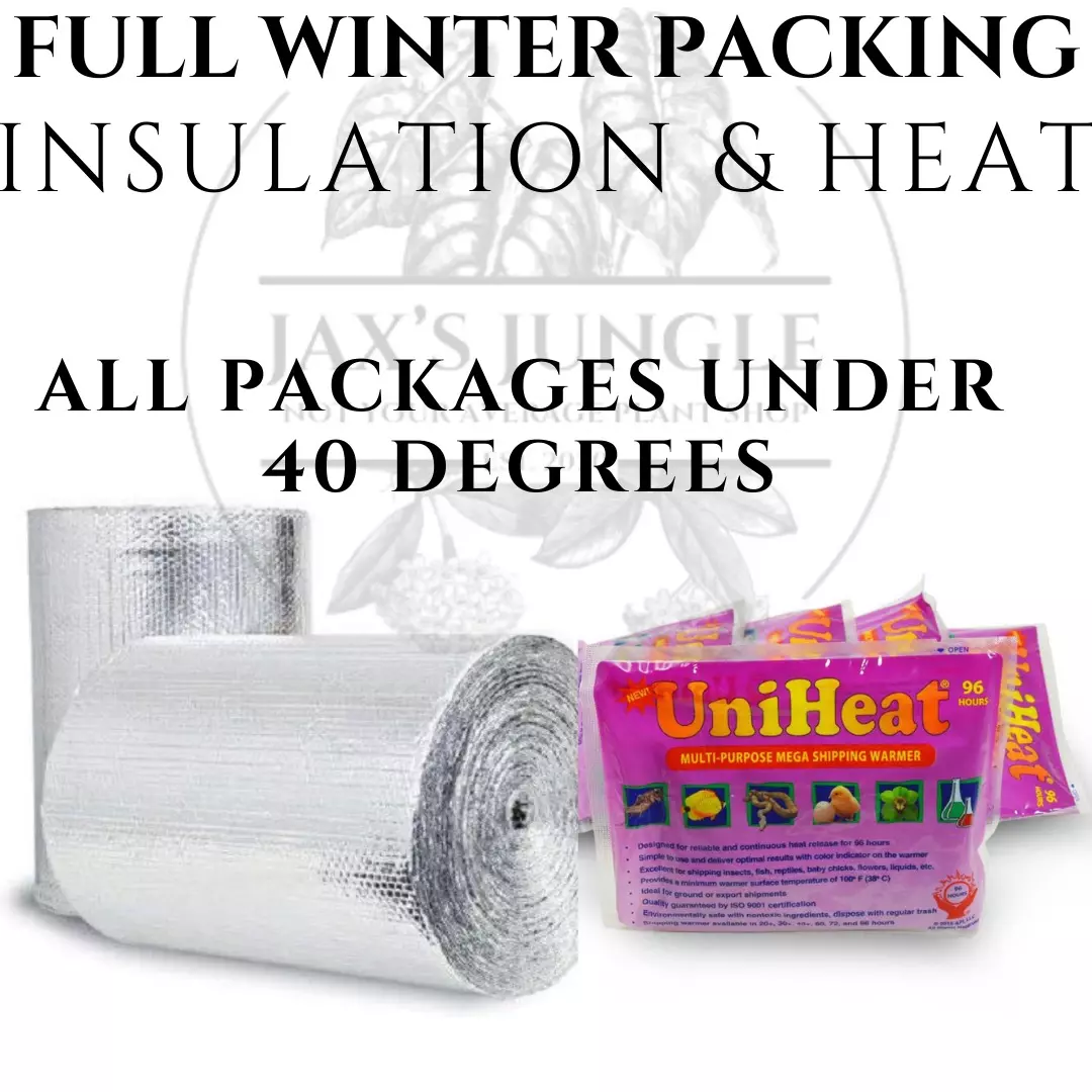 plant/Full winter packing with 110hr heat pack-0